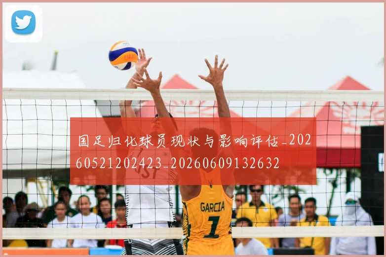 国足归化球员现状与影响评估_20260521202423_20260609132632